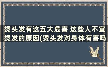 烫头发有这五大危害 这些人不宜烫发的原因(烫头发对身体有害吗啥病不能烫头发)